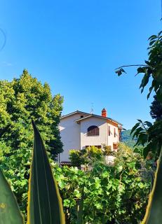 Casa di Laura in Chianti - large & charming house (host 7 people) - Moncioni - 9