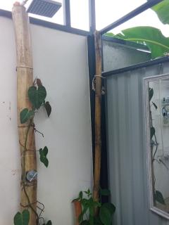 A-frame cabin - 8