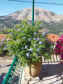 Konstantinas House, a touch of nature & sea - Ferendináta - 2