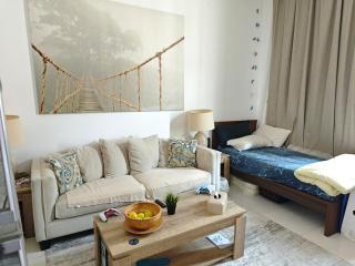 Spacious Villa Studio 12 mins from Airport - Abu Dhabi - 3