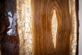 Charming downtown ground floor apartment - 5