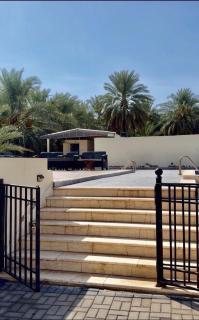 استراحة جوهرة النخيل - 8