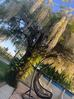 Cascina Valgrande, Monferrato - 5