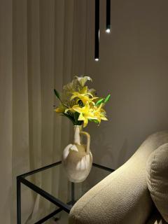 Luxury Apartment in Al Aqeeq with Self Entry - 2