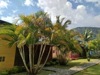 Jardín Utopía - 2
