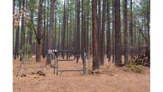 Summer Special-Pinetop Cabin-Great 4 Family - Pinetop-Lakeside - 5