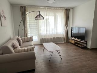 Charmante Wohnung nähe Flughafen - Bassersdorf - 9