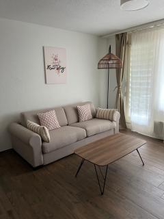 Charmante Wohnung nähe Flughafen - Bassersdorf - 8
