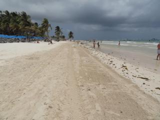 Spacious Penthouse with private rooftop & jacuzzi - Tulum - 9