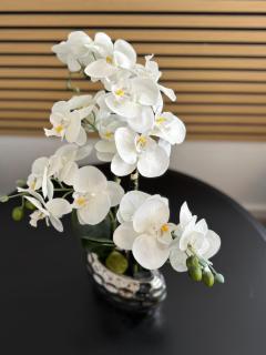 Apartment am Mühlenviertel - 3 Schlafzimmer - 6 Betten - WLAN - Smart TV - Altstadtnah - 7