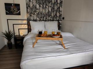 Studio & Balnéo privatif - 3