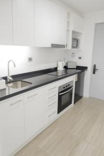 Apartamento en Valdivia, 1 Habitación, Tv, Wifi, Lavandería - 3