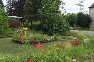 B&B Le Manoir d'Ange - Ferrières - 6
