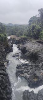 Munay Pedro Vicente Maldonado cerca de Río mashpi y salto del tigre y talala - Miler - 9