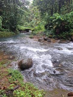 Munay Pedro Vicente Maldonado cerca de Río mashpi y salto del tigre y talala - Miler - 7