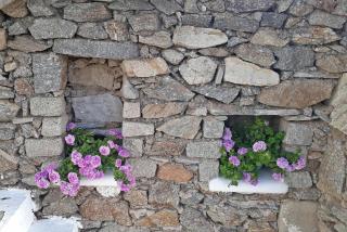 Sunny Guest House New Port Mykonos - Tourlos - 3