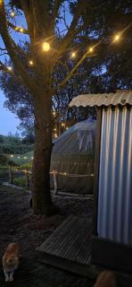 Yurt Pitch - TY GRUG RETREAT - Puncheston - 5