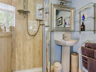 1 Bed in Knighton 51898 - 1