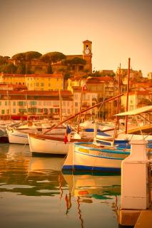 Studio Palais des Festivals - Centre Ville - Plages - Commerces - Internet Fibre - 1