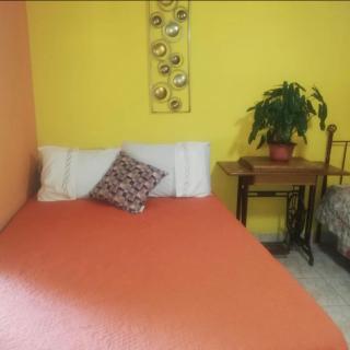 Tropical Gavilla - La Concepción - 6