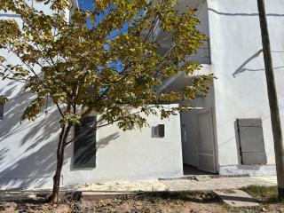 Chaya - 8