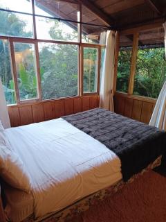 Mindo Wood Cabin - Mindo - 7