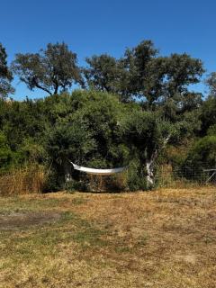 Casa do Monte - Lavre - 3