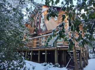 Cabaña Nido de Aguilas, Vilches Alto, San Clemente, Maule - 6