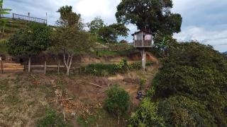Casa en el árbol en Titiribi - Titiribí - 7