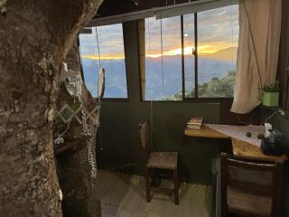 Casa en el árbol en Titiribi - Titiribí - 2