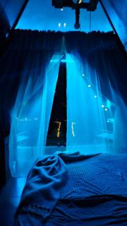 Flora Glamping de Abuela - 1