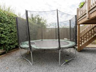 Group Cottage in Lierneux - 4