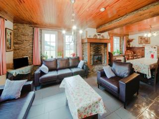 Spacious Farmhouse Retreat - Brisy - 4