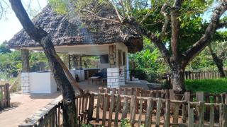 Seasoul Sanctuary - Shimoni - 4