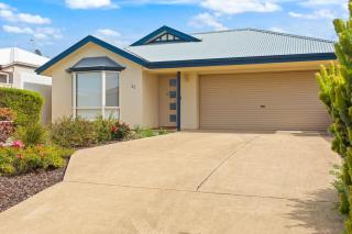 Pelicans on Parade - 2