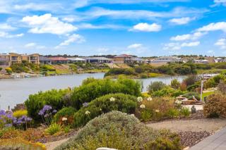 Pelicans on Parade - 1