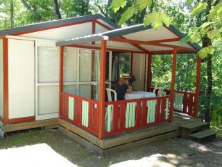 Chalet 6 personnes avec terrasse - Confort et équipements complets - API-1-52-349 - 0