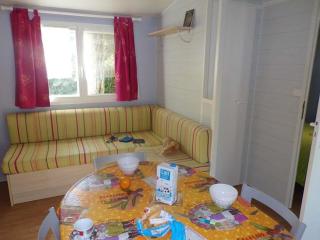 Mobil home confortable pour 4 pers. avec terrasse - API-1-52-277 - La Cassagne - 7