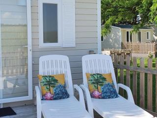 Mobil-home 4 pers avec terrasse au camping Les Tournesols - API-1-52-489 - Crissé - 3