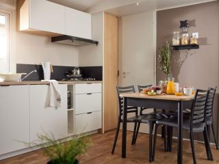 Mobil home - Terrasse - 3 chambres à Saint-Maime - API-1-52-678 - 8