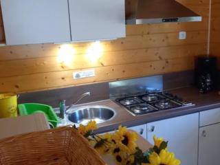 Chalet confortable avec terrasse pour 4 personnes - API-1-52-593 - 9
