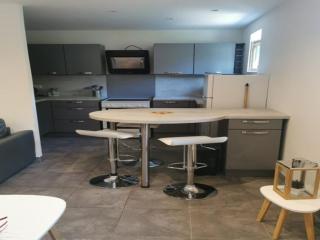 Appartement 2 pièces avec cuisine équipée - Puget-Théniers - API-1-52-695 - Puget-Théniers - 9