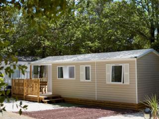Mobil home confortable 6 personnes avec terrasse à Bretignolles-sur-Mer - API-1-52-519 - Brétignolles-sur-Mer - 1