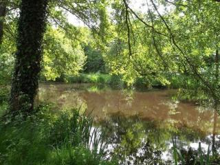 Mobil-home pour 6 avec terrasse à Avrillé - API-1-52-728 - 3