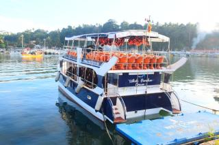 Whale Paradise Cruise Tours - 2