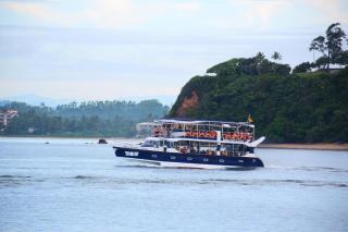 Whale Paradise Cruise Tours - 1
