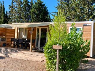 Mobil home spacieux avec terrasse pour 8 personnes - API-1-52-793 - 9