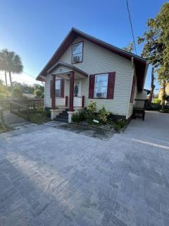 Little Carnation - 0