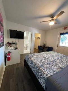 Little Carnation - 6