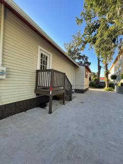 Little Carnation - 5